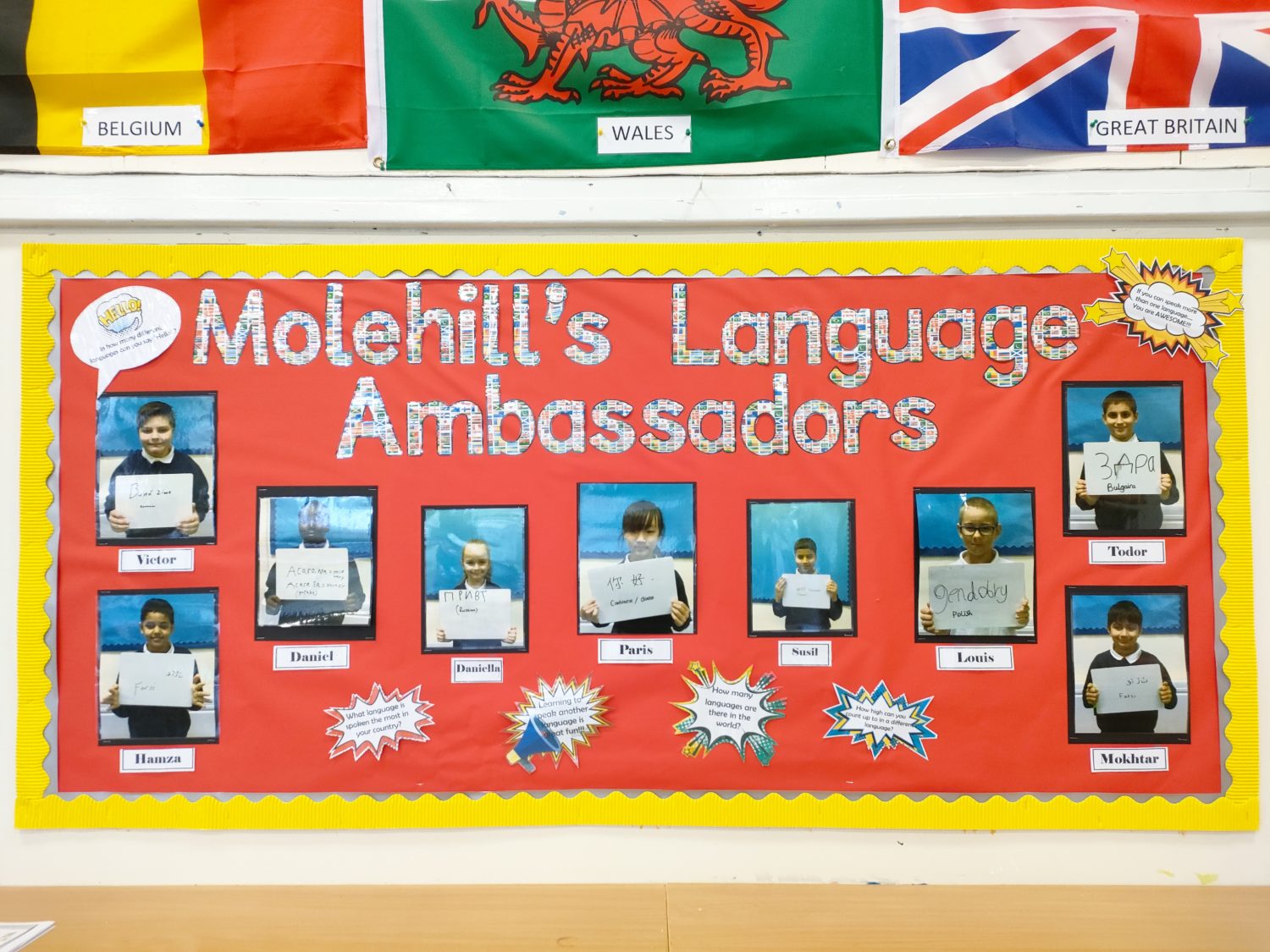 Molehill's Language Ambassadors. A display in a classroom showing names and faces of the school's Language Ambassadors.
